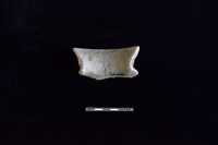 陶罐藏品圖，第2張